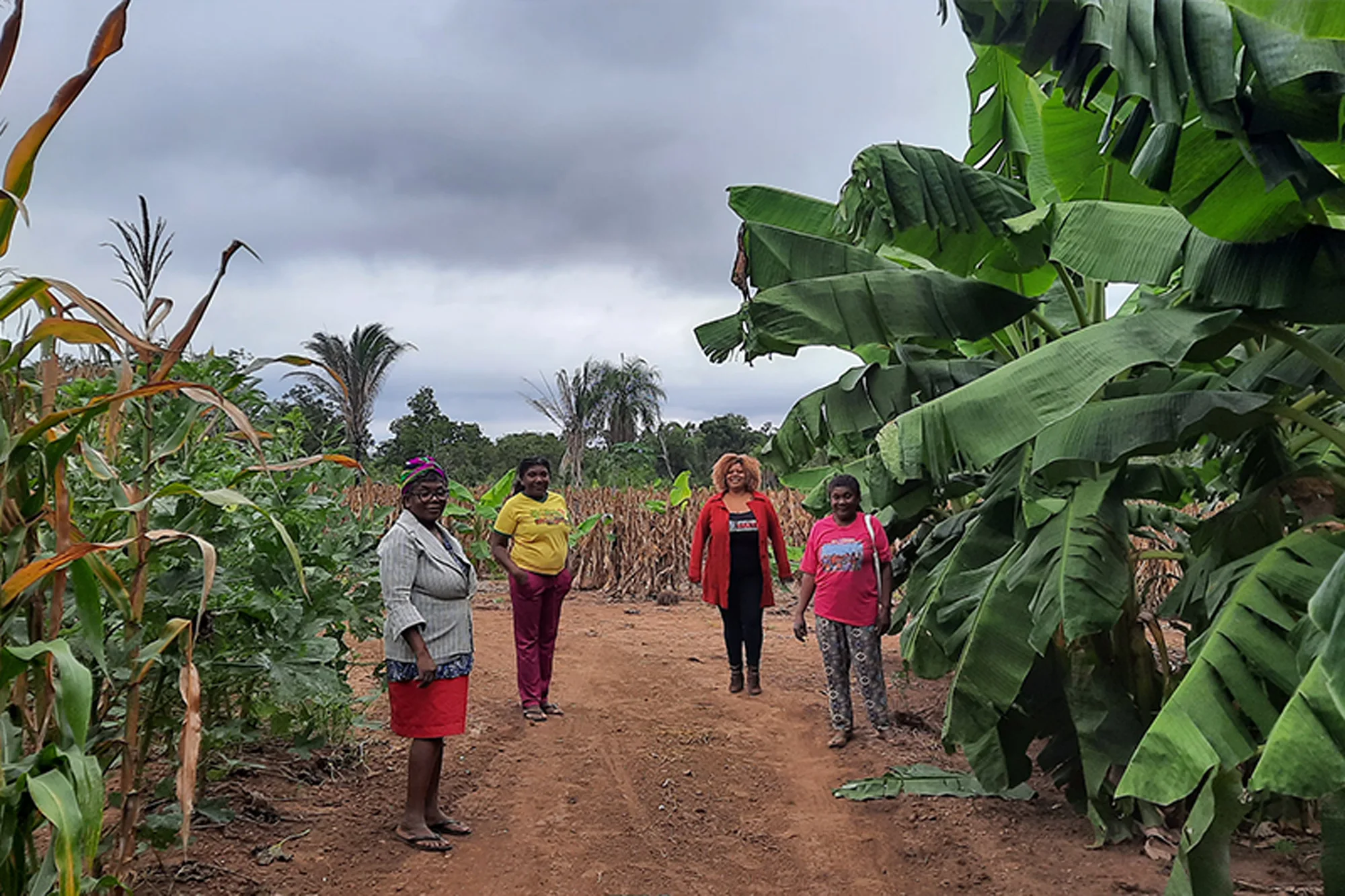 Técnicas tradicionais de cultivo são utilizadas por pequenos agricultores e comunidades quilombolas para produzir alimentos sem prejudicar a natureza. — Foto: Acervo pessoal.