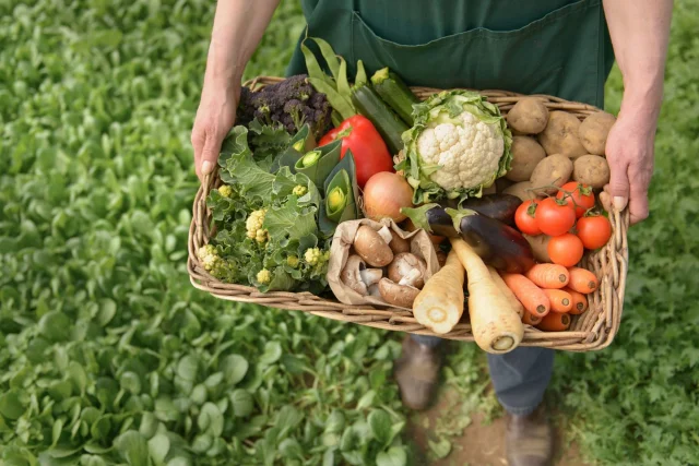 “A agroecologia é o caminho para o combate à fome”