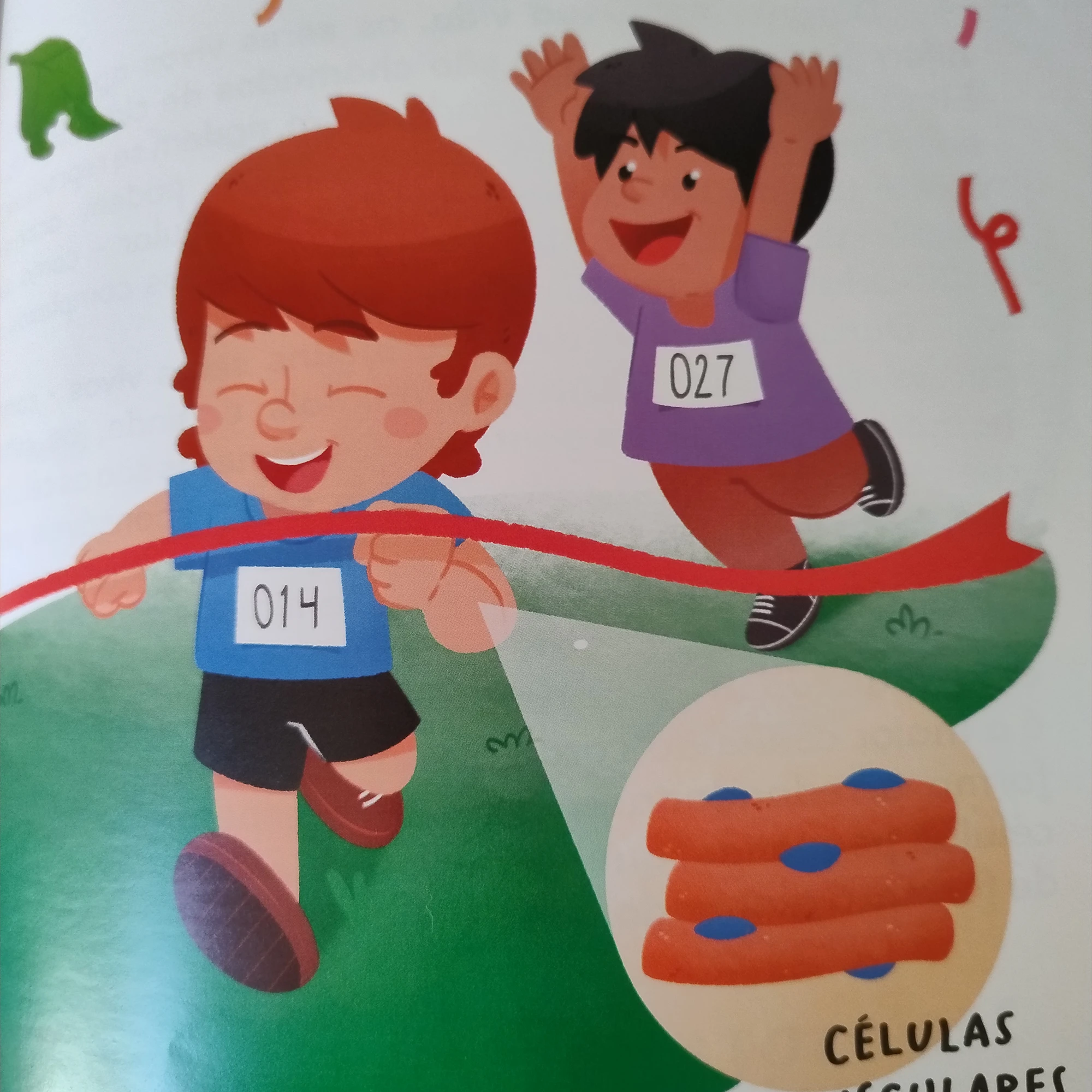 Imagens do livro O Maravilhoso Mundo da Célula, de Raquel da Hora, com ilustrações de Marcelo Cardinal e publicado pela Casa Kids, selo da Editorial Casa.