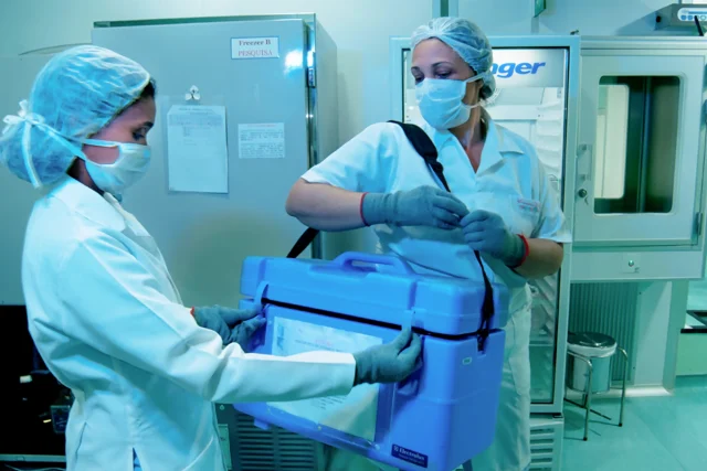 HIV em transplantes