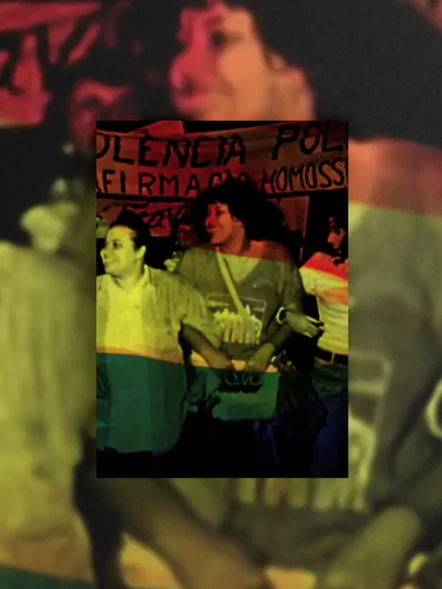 LÉSBICAS FEMINISTAS